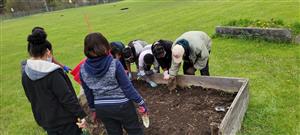 Gardeners